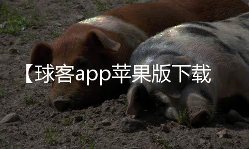 【球客app苹果版下载】普通却自信是什么梗