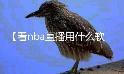 【看nba直播用什么软件免费】杨树蘑菇能吃吗