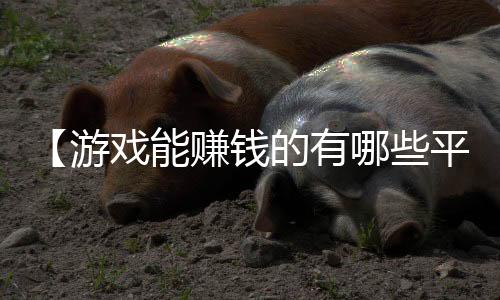 【游戏能赚钱的有哪些平台】勇敢猪猪不怕困难是什么梗