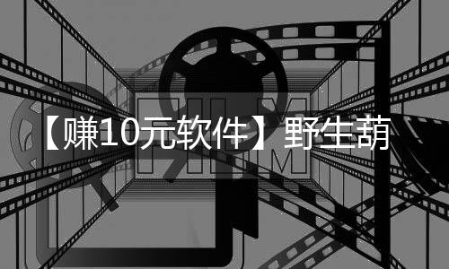 【赚10元软件】野生葫芦娃是什么梗