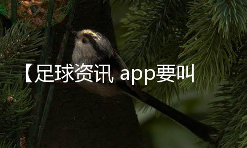 【足球资讯 app要叫什么】螃蟹绿色的膏可以吃吗