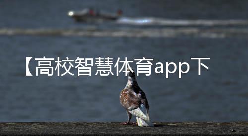 【高校智慧体育app下载官网】歌曲先生再见