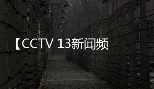 【CCTV 13新闻频道】粉皮怎么做